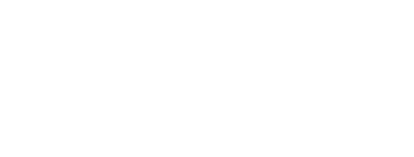 NEDCO Logo White