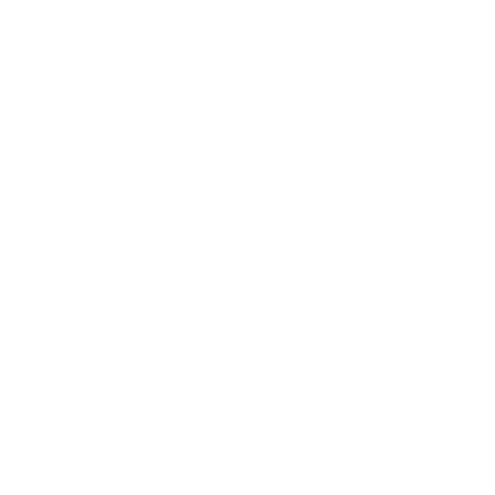 SSI -1