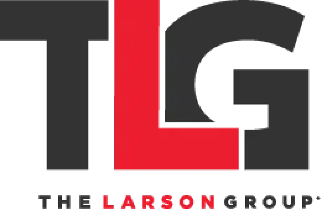 The larson group logo color