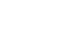 Vipar-logo-white Vipar-logo-white