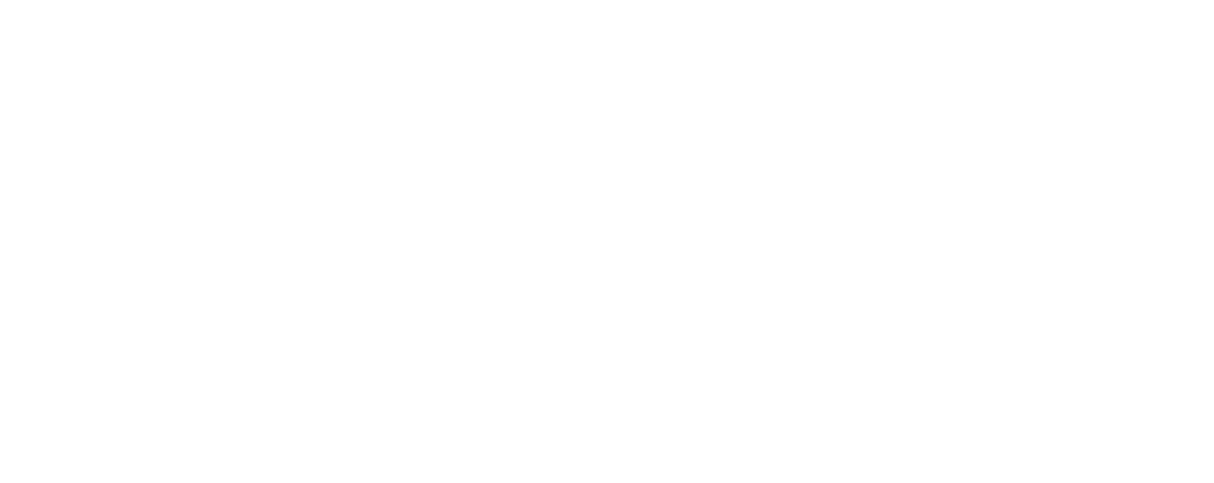 bruckners logo white