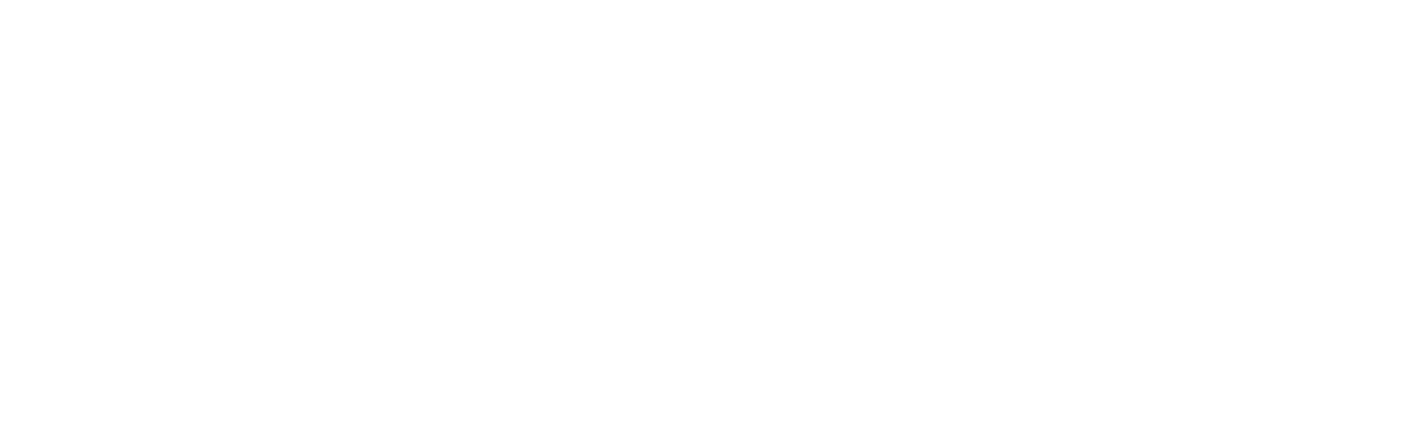 vp_supply_logo