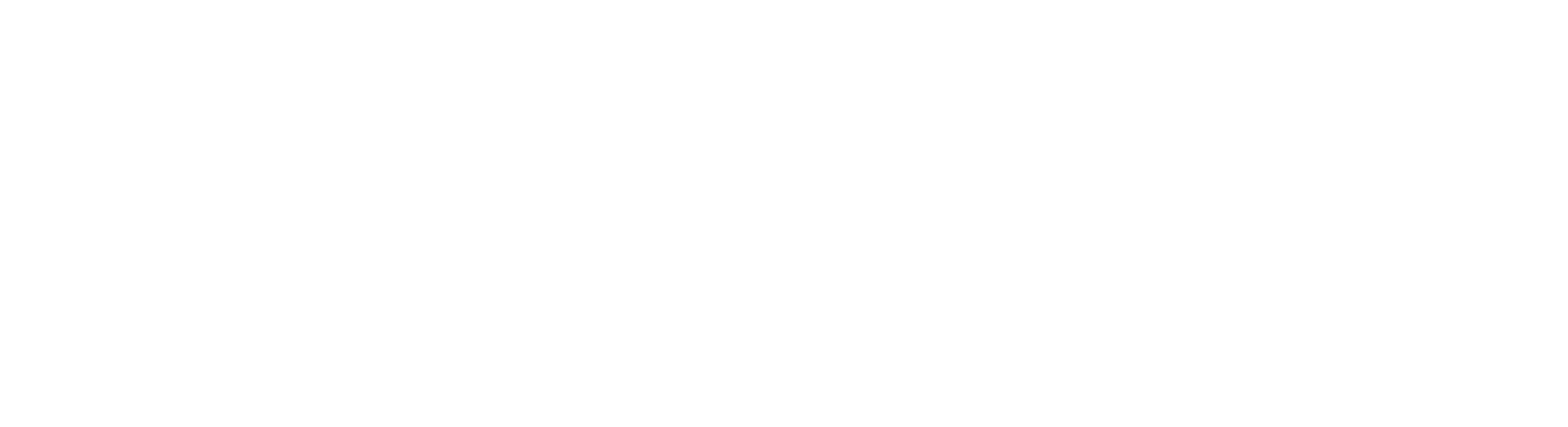 Elite Extra logo